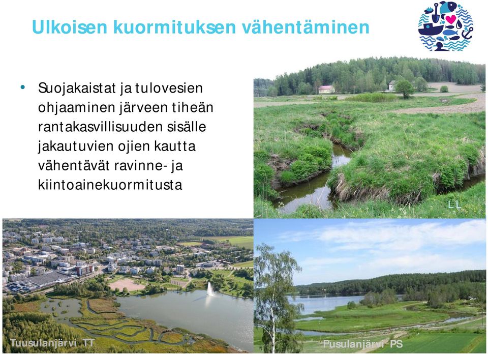 rantakasvillisuuden sisälle jakautuvien ojien kautta