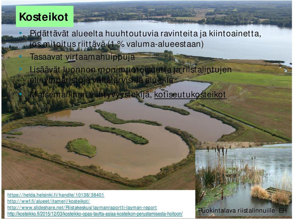 kotiseutukosteikot https://helda.helsinki.fi/handle/10138/38401 http://wwf.fi/alueet/itameri/kosteikot/ http://www.slideshare.
