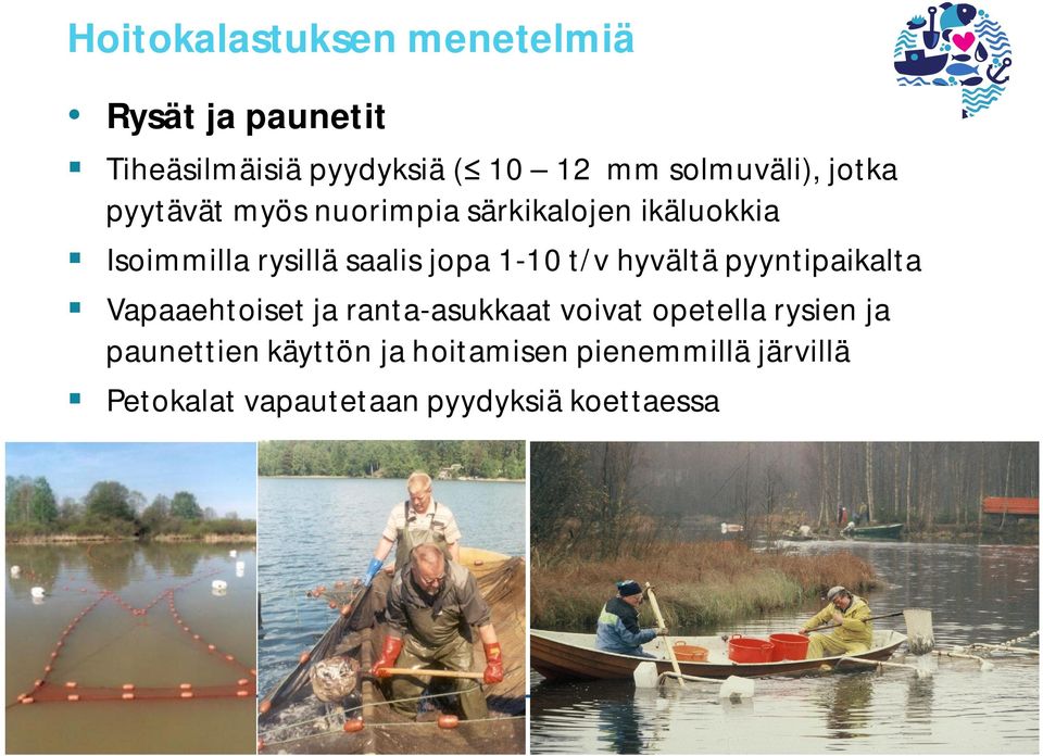 jopa 1-10 t/v hyvältä pyyntipaikalta Vapaaehtoiset ja ranta-asukkaat voivat opetella rysien