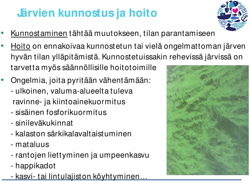 Kunnostetuissakin rehevissä järvissä on tarvetta myös säännöllisille hoitotoimille Ongelmia, joita pyritään vähentämään: - ulkoinen,