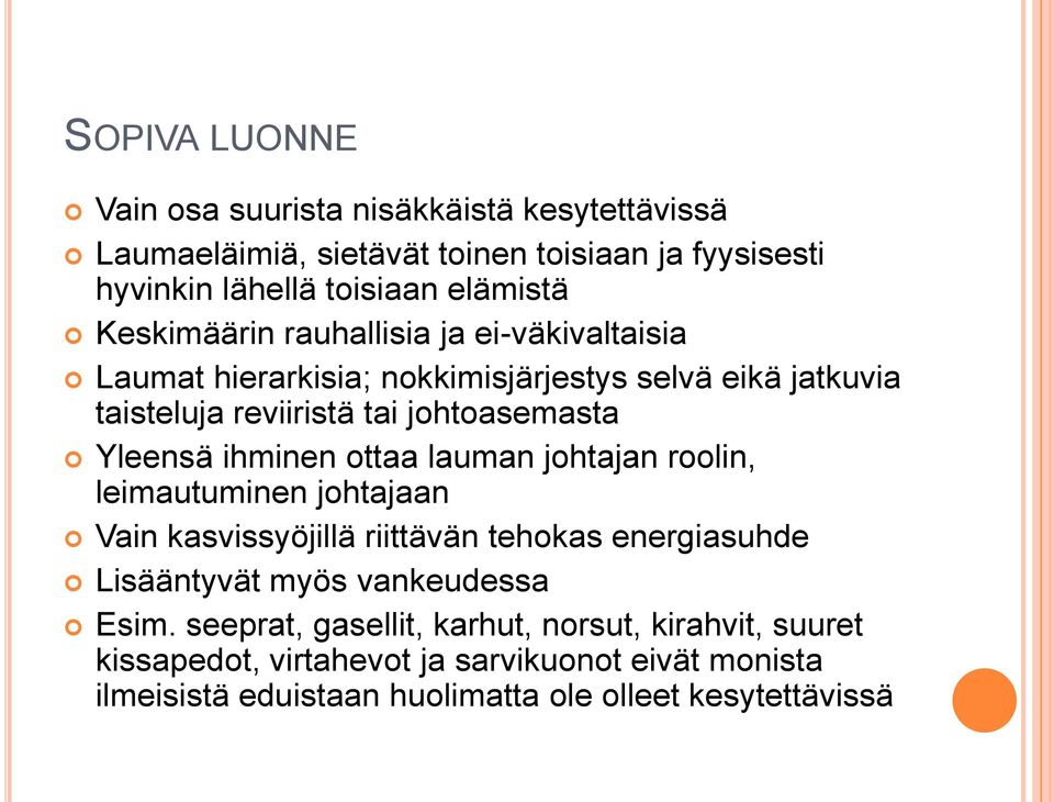 ihminen ottaa lauman johtajan roolin, leimautuminen johtajaan Vain kasvissyöjillä riittävän tehokas energiasuhde Lisääntyvät myös vankeudessa Esim.