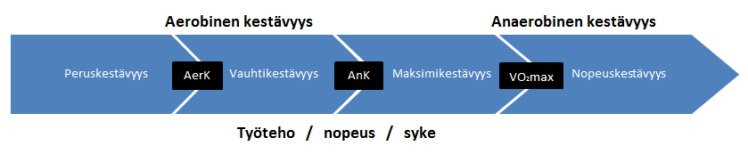 3.2 Kestävyysominaisuudet Kestävyyskunto kertoo elimistön kyvystä vastustaa väsymystä, kuljettaa happea ja käyttää sitä lihastyön vaatimaan energiantuottoon.