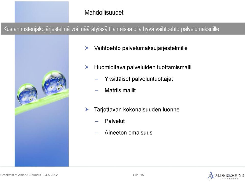 palvelumaksujärjestelmille Huomioitava palveluiden tuottamismalli