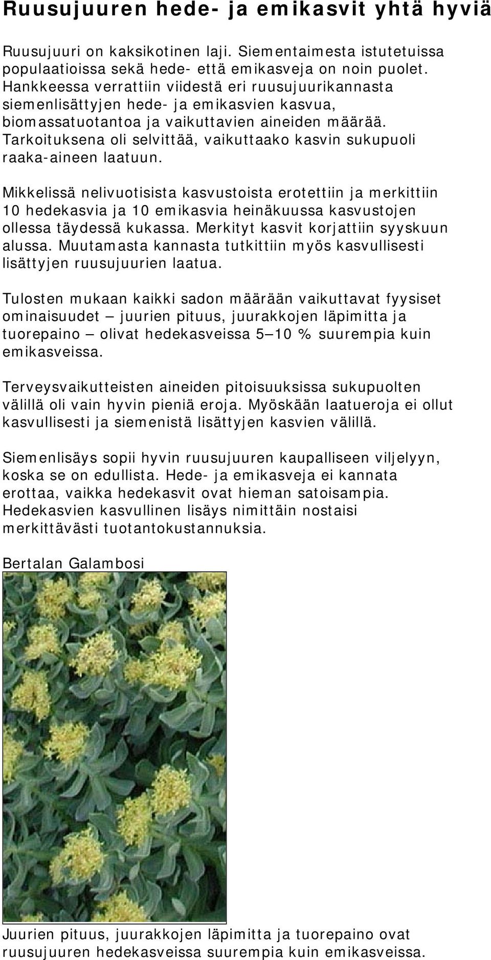 Tarkoituksena oli selvittää, vaikuttaako kasvin sukupuoli raaka-aineen laatuun.