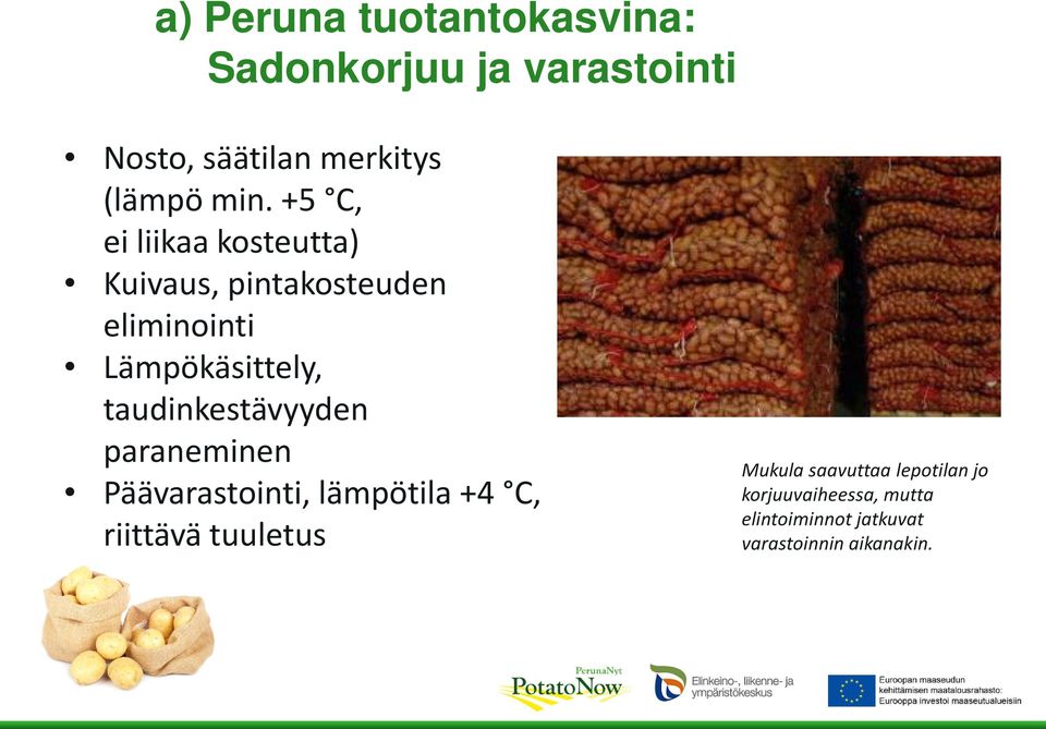 taudinkestävyyden paraneminen Päävarastointi, lämpötila +4 C, riittävä tuuletus Mukula