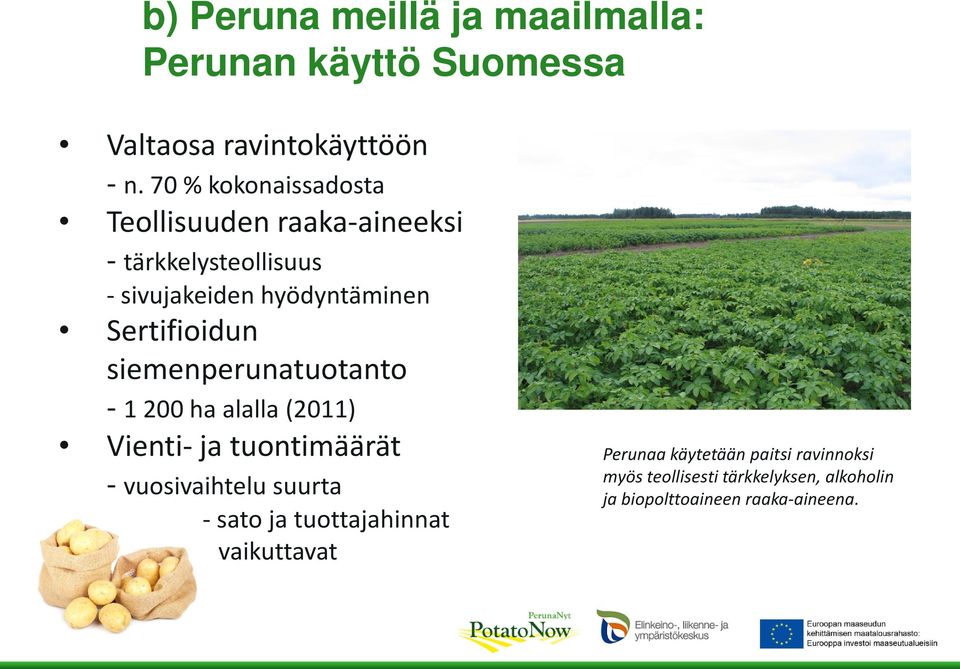 Sertifioidun siemenperunatuotanto - 1 200 ha alalla (2011) Vienti- ja tuontimäärät - vuosivaihtelu suurta -