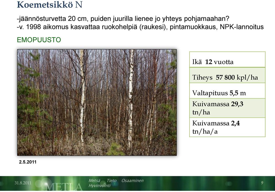 1998 aikomus kasvattaa ruokohelpiä (raukesi), pintamuokkaus,