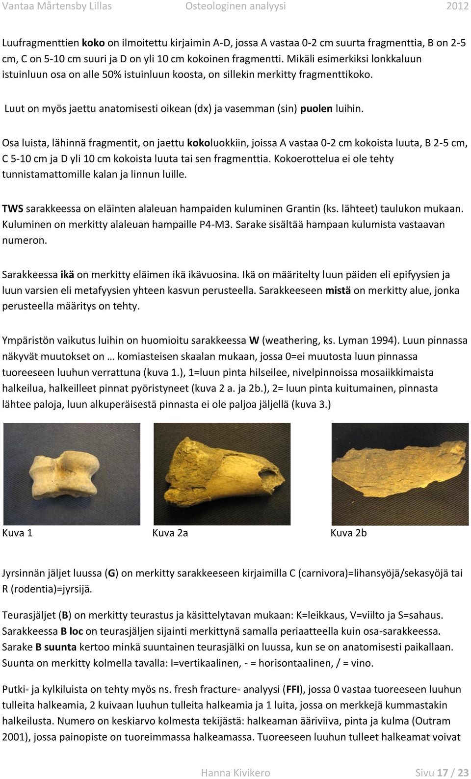 Osa luista, lähinnä fragmentit, on jaettu kokoluokkiin, joissa A vastaa 0-2 cm kokoista luuta, B 2-5 cm, C 5-0 cm ja D yli 0 cm kokoista luuta tai sen fragmenttia.