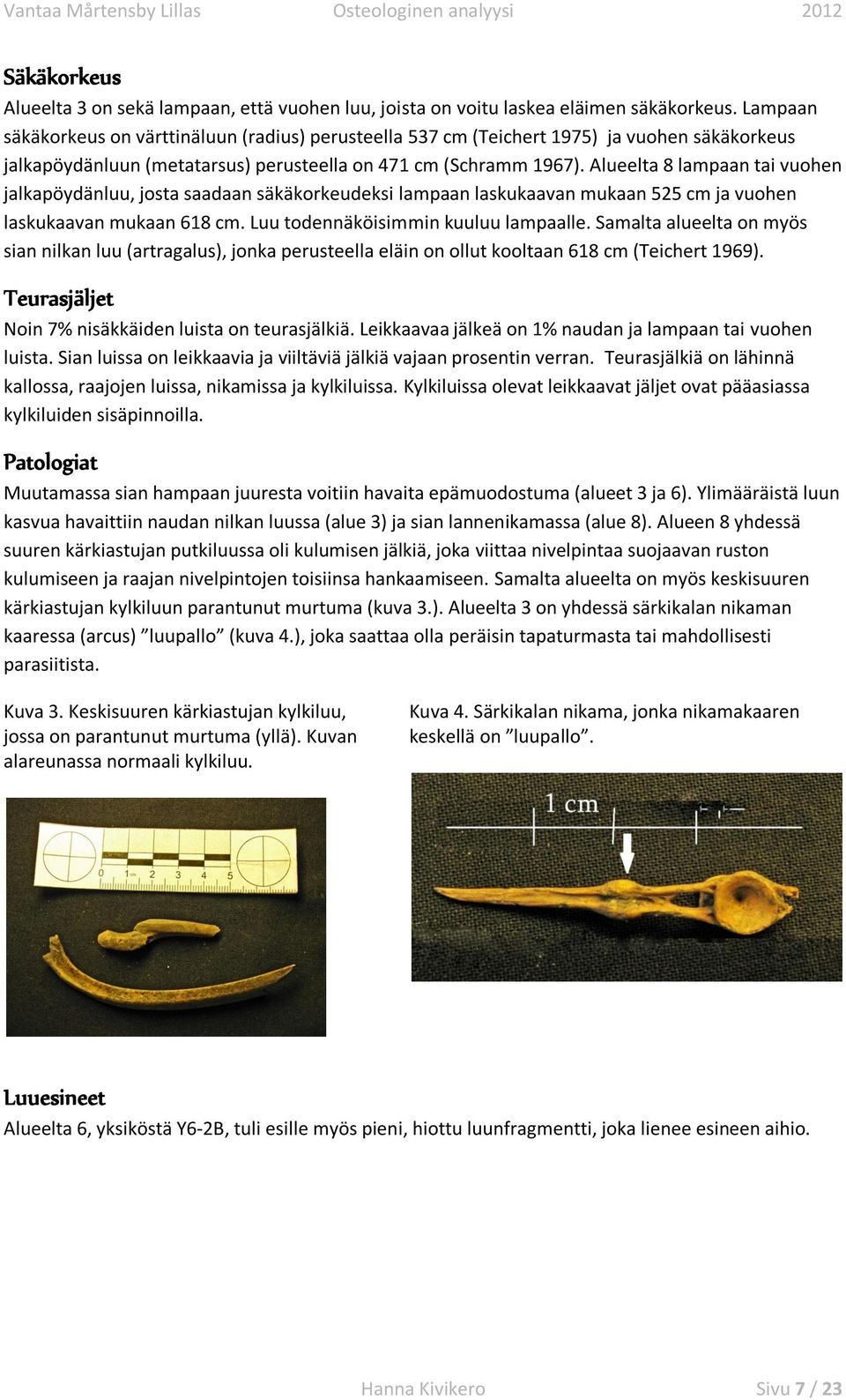 Alueelta 8 lampaan tai vuohen jalkapöydänluu, josta saadaan säkäkorkeudeksi lampaan laskukaavan mukaan 525 cm ja vuohen laskukaavan mukaan 68 cm. Luu todennäköisimmin kuuluu lampaalle.