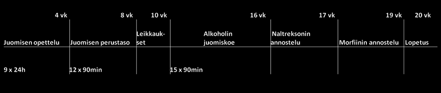 29 4.3.2 Etanolin juominen Tutkimuksessa käytettiin rajoitetun juomisen mallia, jossa rotilla oli mahdollisuus juoda etanolia vain lyhyen aikaa, 90 minuuttia kerrallaan (Kemppainen ym. 2012b).