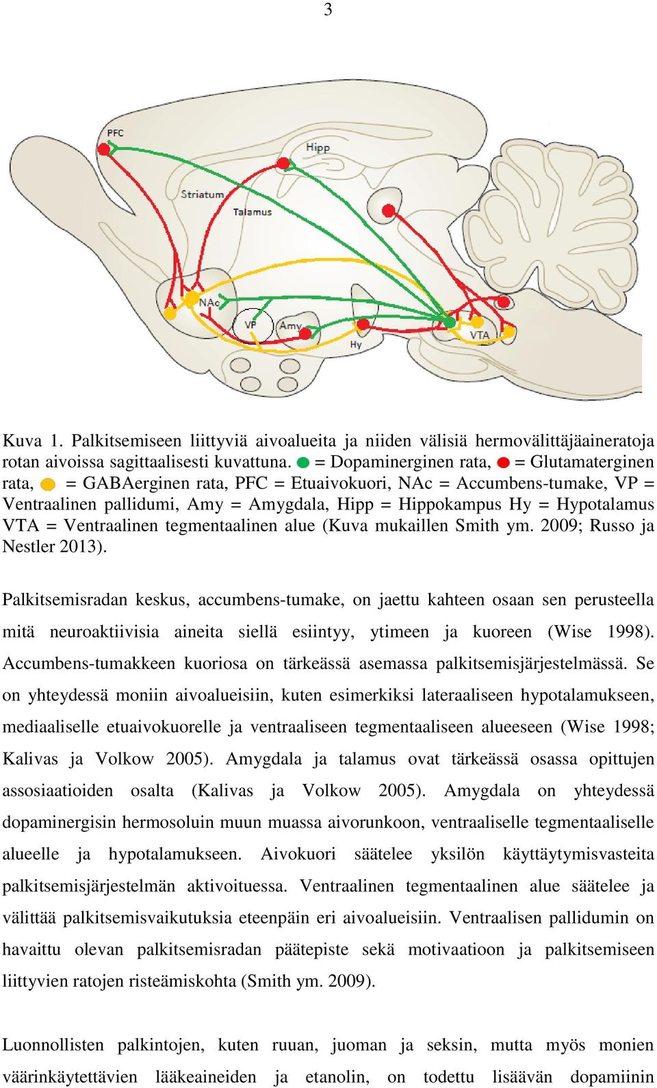 Ventraalinen tegmentaalinen alue (Kuva mukaillen Smith ym. 2009; Russo ja Nestler 2013).