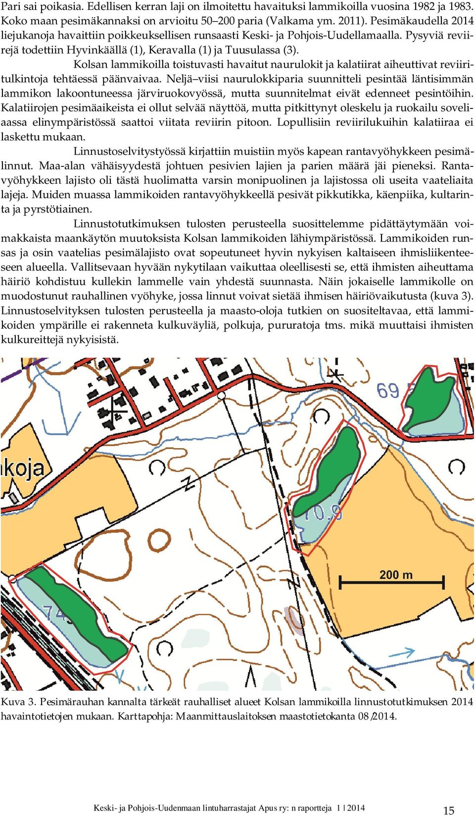 Kolsan lammikoilla toistuvasti havaitut naurulokit ja kalatiirat aiheuttivat reviiritulkintoja tehtäessä päänvaivaa.