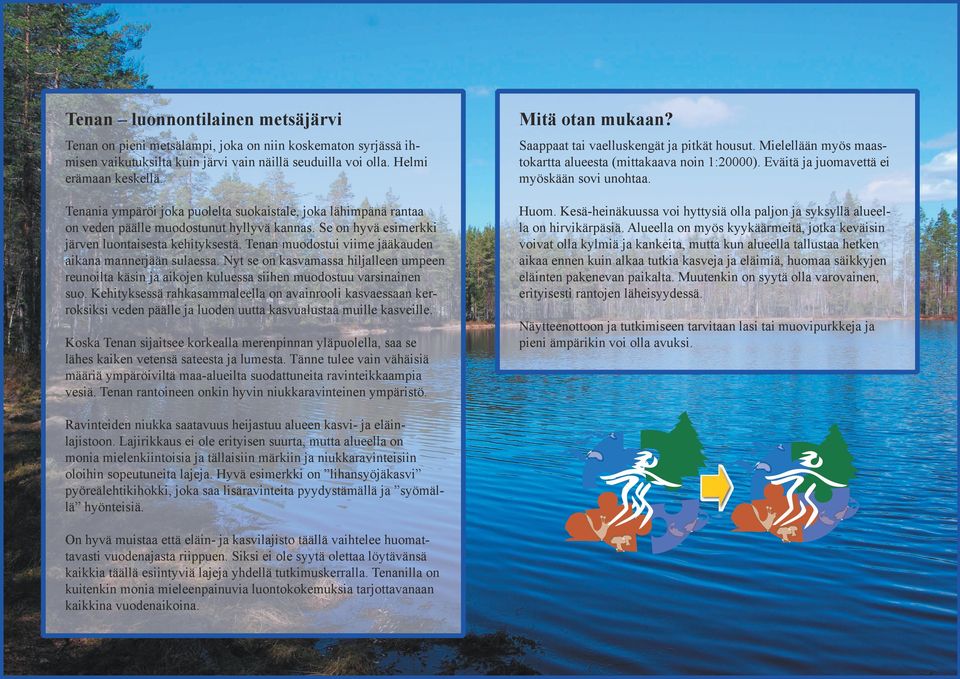 Tenan muodostui viime jääkauden aikana mannerjään sulaessa. Nyt se on kasvamassa hiljalleen umpeen reunoilta käsin ja aikojen kuluessa siihen muodostuu varsinainen suo.