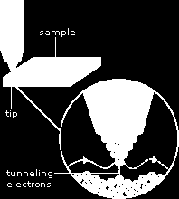 Luonnossa tunneli-ilmiötä havaitaan esim.