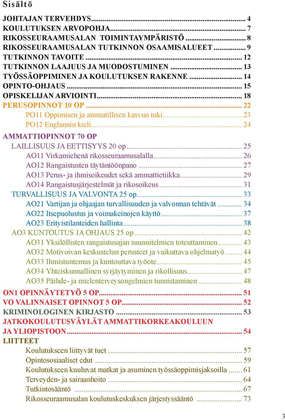 .. 22 PO11 Oppimisen ja ammatillisen kasvun tuki... 23 PO12 Englannin kieli... 24 AMMATTIOPINNOT 70 OP LAILLISUUS JA EETTISYYS 20 op... 25 AO11 Virkamiehenä rikosseuraamusalalla.