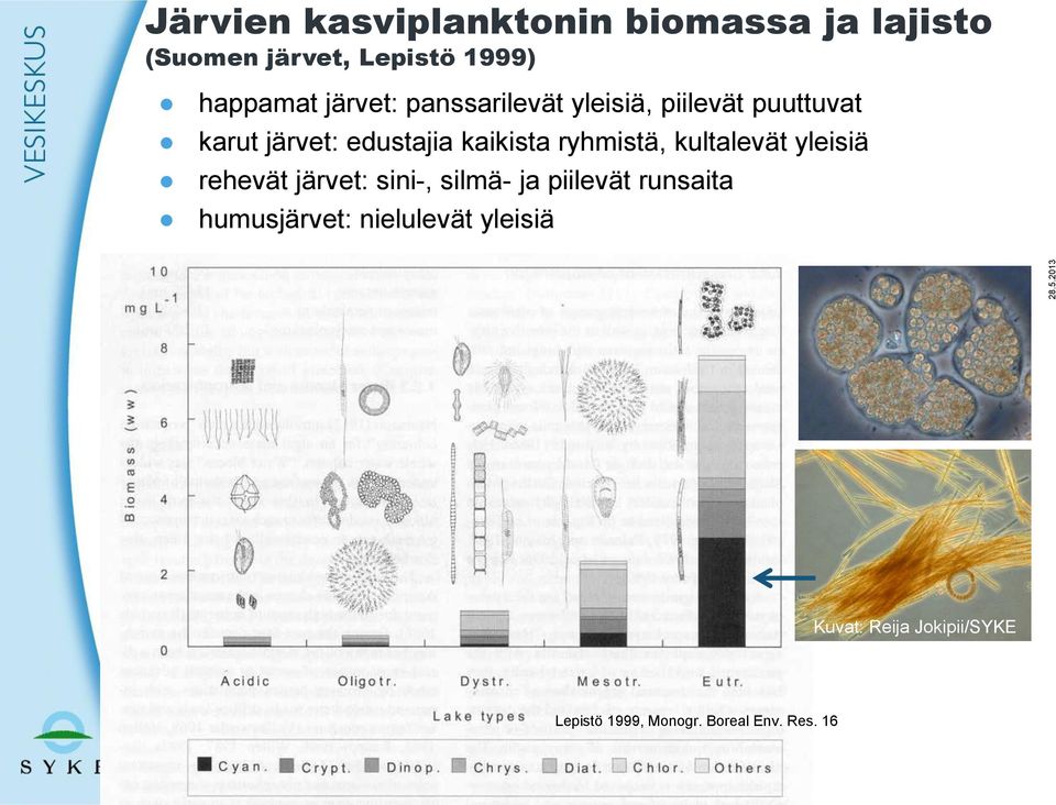 kaikista ryhmistä, kultalevät yleisiä rehevät järvet: sini-, silmä- ja piilevät runsaita