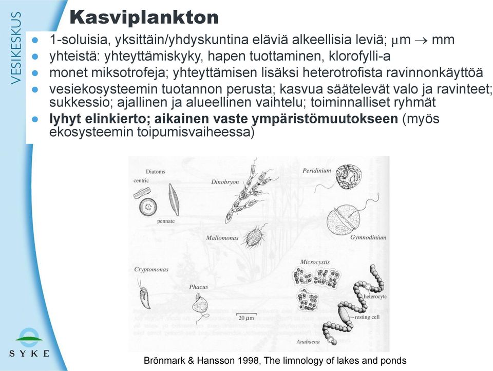 perusta; kasvua säätelevät valo ja ravinteet; sukkessio; ajallinen ja alueellinen vaihtelu; toiminnalliset ryhmät lyhyt