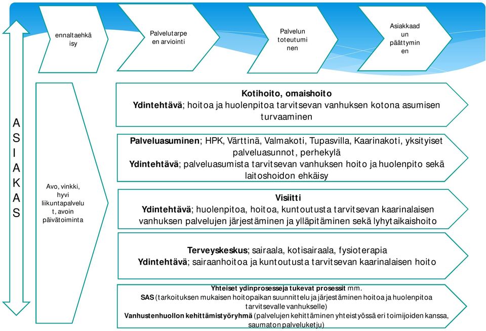 palveluasumista tarvitsevan vanhuksen hoito ja huolenpito sekä laitoshoidon ehkäisy Visiitti Ydintehtävä; huolenpitoa, hoitoa, kuntoutusta tarvitsevan kaarinalaisen vanhuksen palvelujen järjestäminen