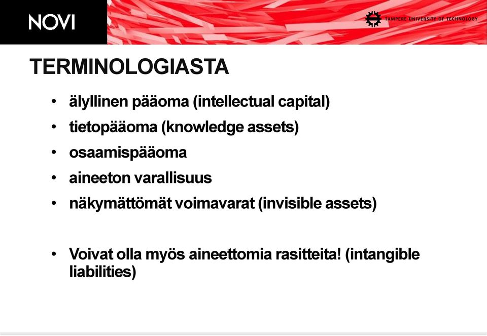 varallisuus näkymättömät voimavarat (invisible assets)