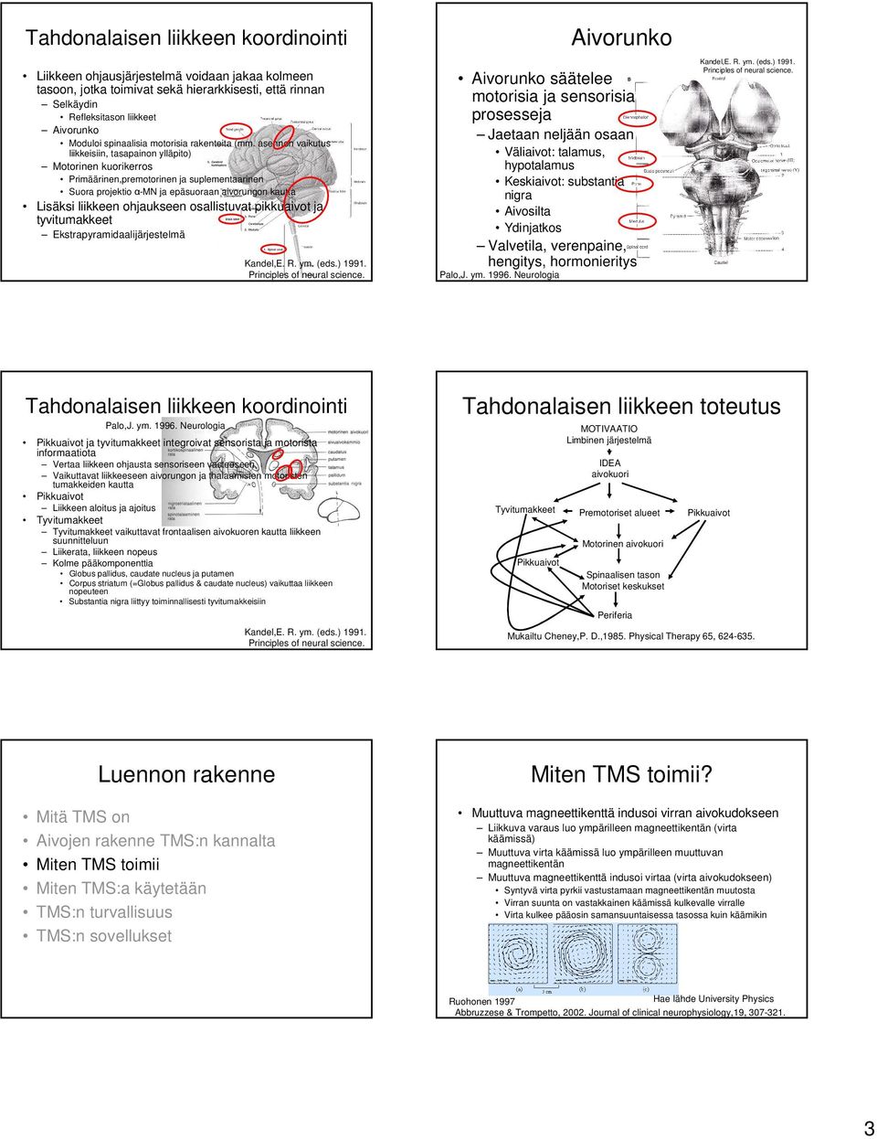 asennon vaikutus liikkeisiin, tasapainon ylläpito) Motorinen kuorikerros Primäärinen,premotorinen ja suplementaarinen Suora projektio α-mn ja epäsuoraan aivorungon kautta Lisäksi liikkeen ohjaukseen