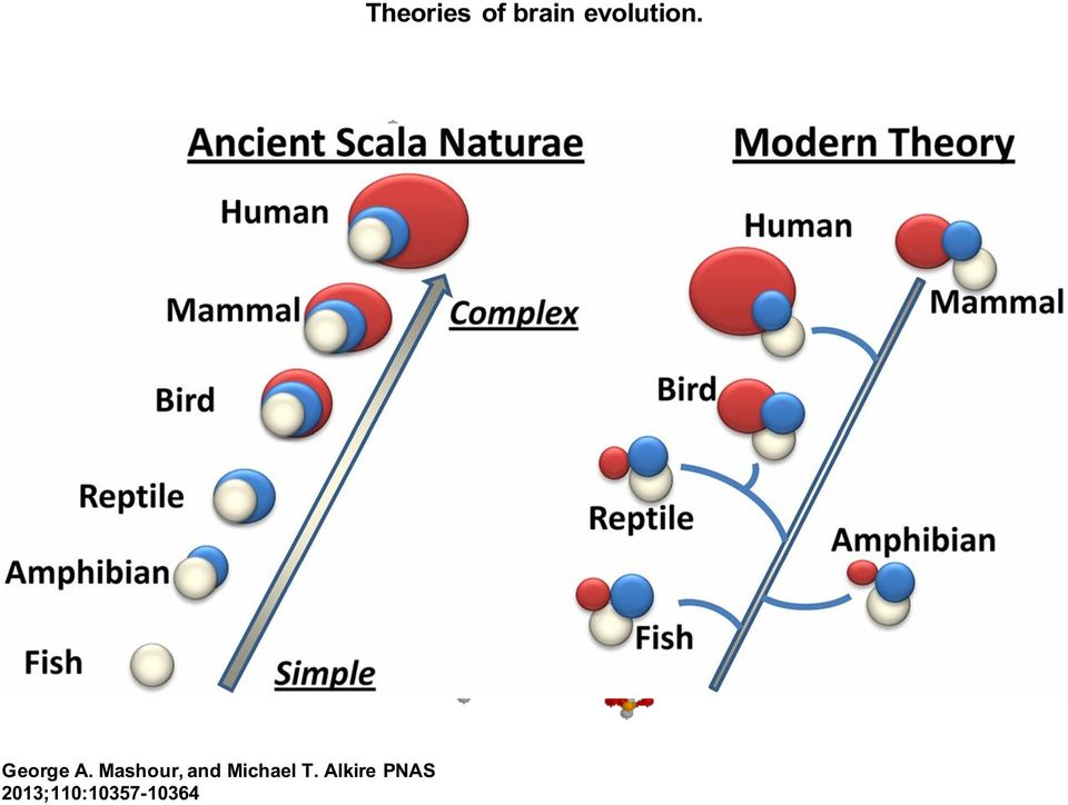 Alkire PNAS