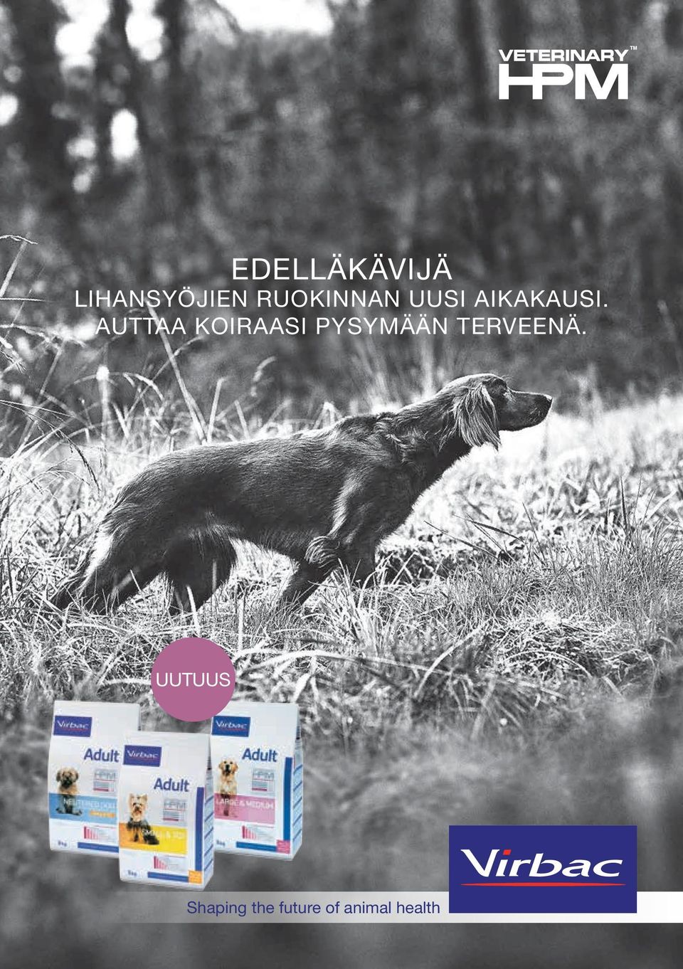 AUTTAA KOIRAASI PYSYMÄÄN