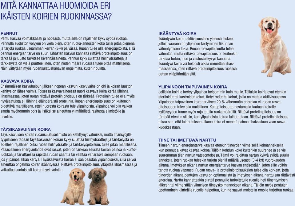Ruoan tulee olla energiapitoista, sillä pennun energian tarve on suuri. Lihasten kasvun kannalta riittävä proteiinipitoisuus on tärkeää ja luusto tarvitsee kivennäisaineita.