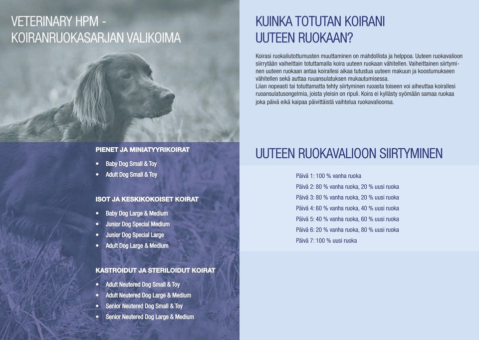 Vaiheittainen siirtyminen uuteen ruokaan antaa koirallesi aikaa tutustua uuteen makuun ja koostumukseen vähitellen sekä auttaa ruuansulatuksen mukautumisessa.