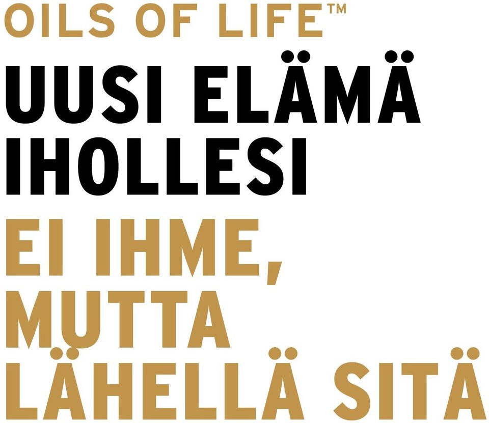 IHOLLESI EI