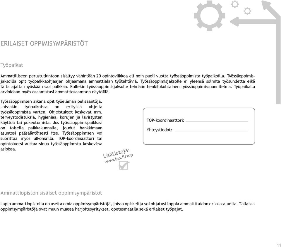 Kullekin työssäoppimisjaksolle tehdään henkilökohtainen työssäoppimissuunnitelma. Työpaikalla arvioidaan myös osaamistasi ammattiosaamisen näytöillä.