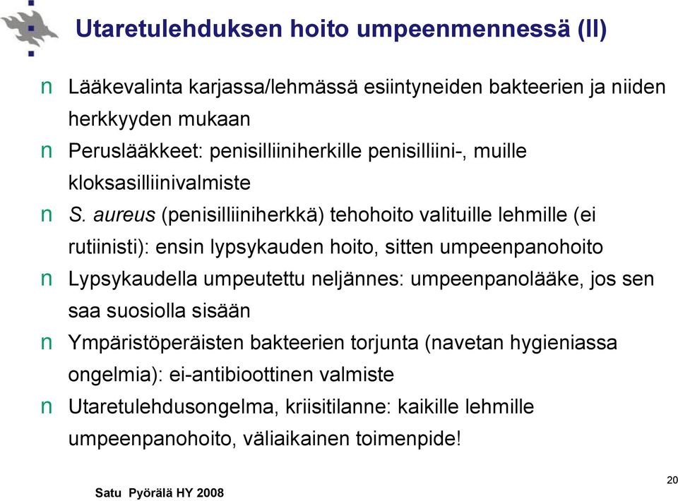 aureus (penisilliiniherkkä) tehohoito valituille lehmille (ei rutiinisti): ensin lypsykauden hoito, sitten umpeenpanohoito Lypsykaudella umpeutettu