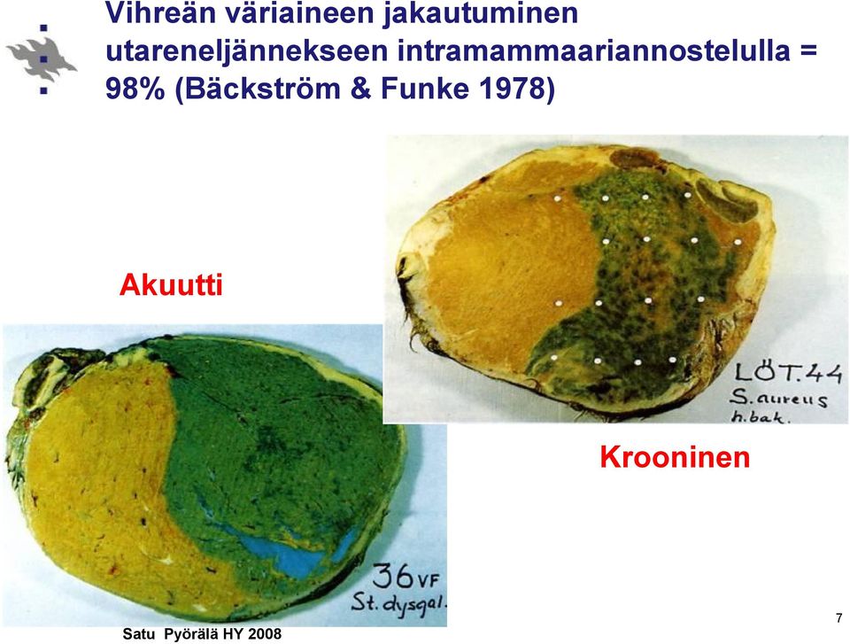 intramammaariannostelulla = 98%