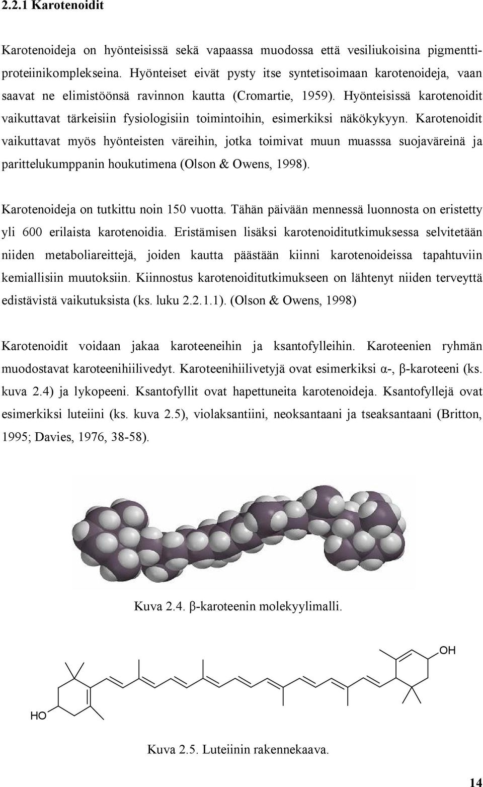 Hyönteisissä karotenoidit vaikuttavat tärkeisiin fysiologisiin toimintoihin, esimerkiksi näkökykyyn.