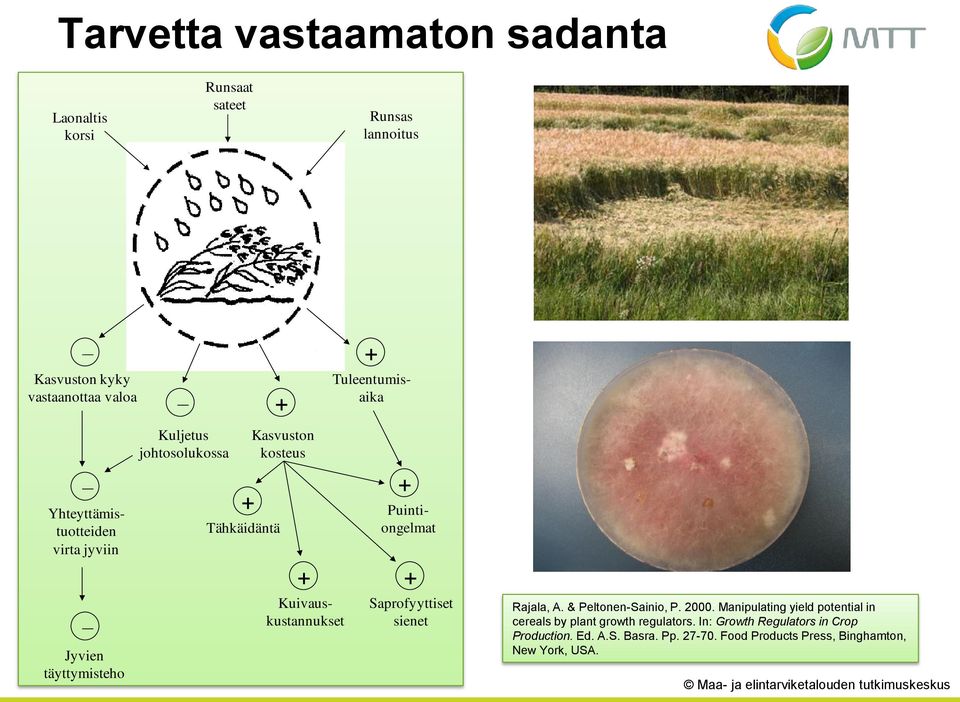 Kasvuston kosteus + + + Puintiongelmat Saprofyyttiset sienet Rajala, A. & Peltonen-Sainio, P. 2000.