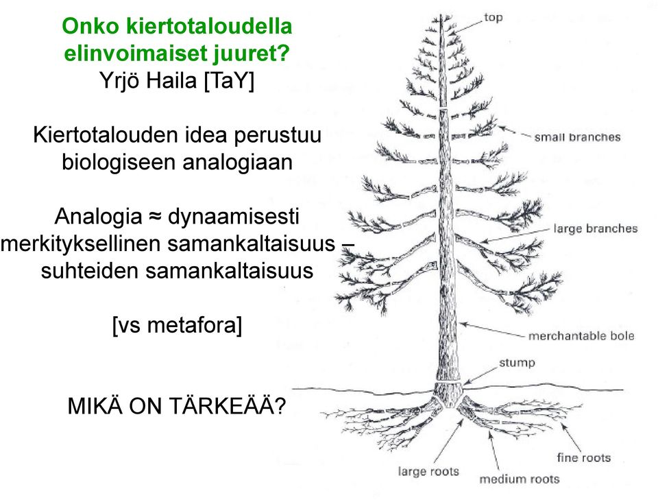 biologiseen analogiaan Analogia dynaamisesti