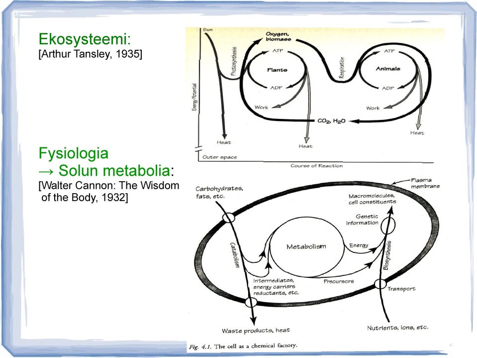 Solun metabolia: [Walter