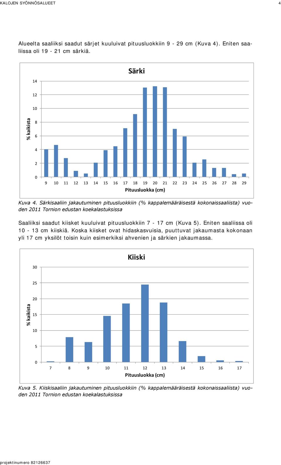 Särkisaaliin jakautuminen pituusluokkiin (% kappalemääräisestä kokonaissaaliista) vuoden 2011 Tornion edustan koekalastuksissa Saaliiksi saadut kiisket kuuluivat pituusluokkiin 7-17 cm (Kuva 5).