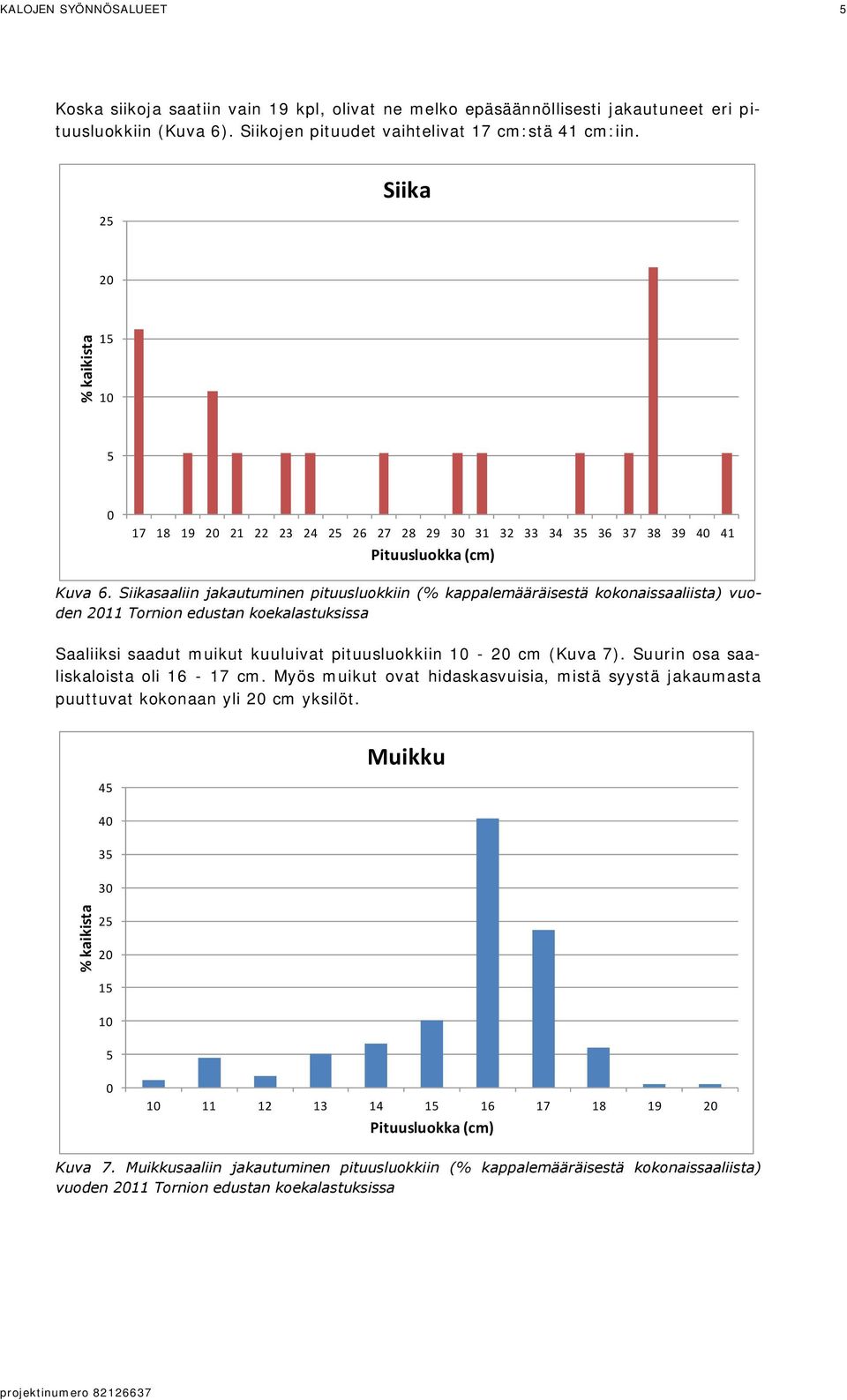 Siikasaaliin jakautuminen pituusluokkiin (% kappalemääräisestä kokonaissaaliista) vuoden 2011 Tornion edustan koekalastuksissa Saaliiksi saadut muikut kuuluivat pituusluokkiin 10-20 cm (Kuva 7).