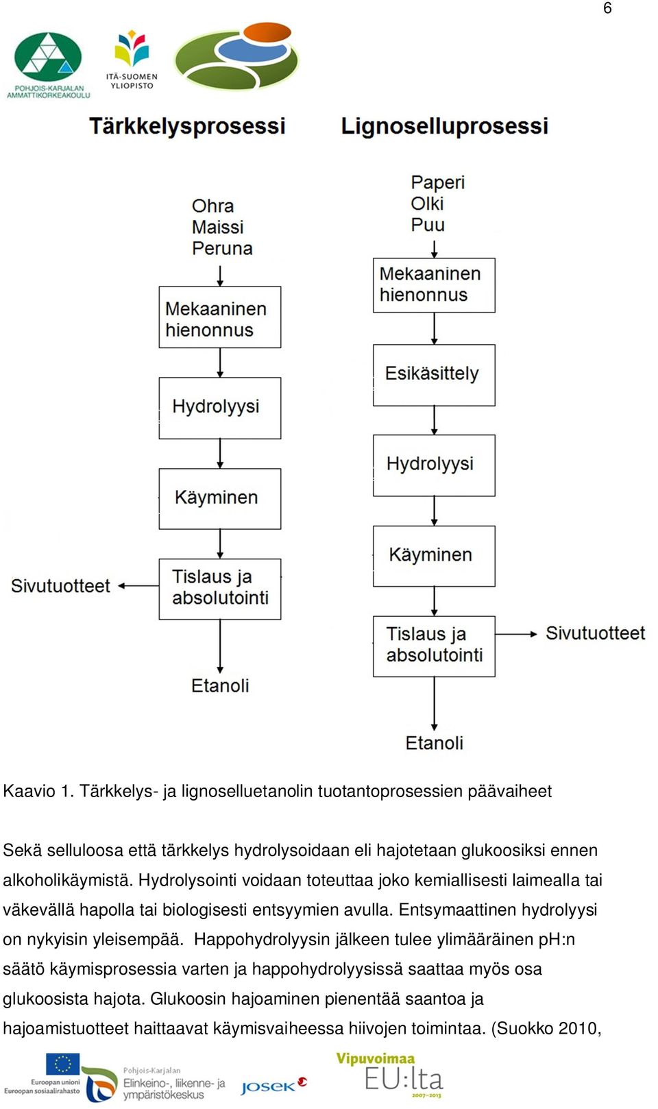 alkoholikäymistä. Hydrolysointi voidaan toteuttaa joko kemiallisesti laimealla tai väkevällä hapolla tai biologisesti entsyymien avulla.