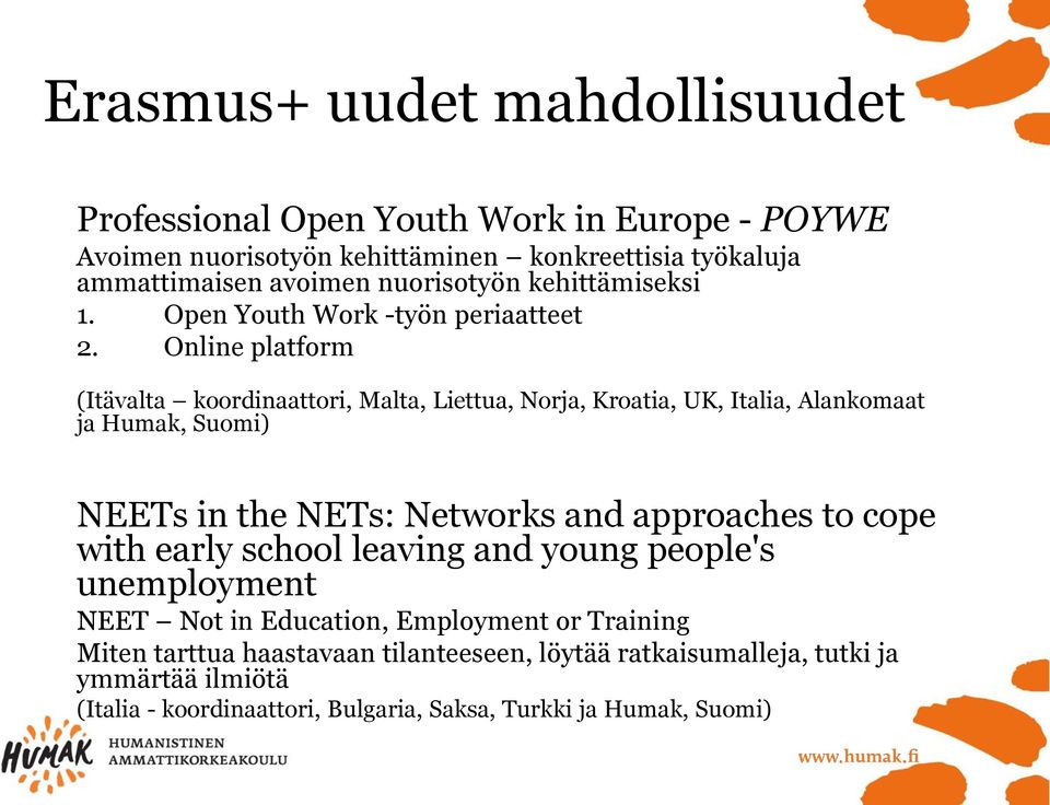 Online platform (Itävalta koordinaattori, Malta, Liettua, Norja, Kroatia, UK, Italia, Alankomaat ja Humak, Suomi) NEETs in the NETs: Networks and approaches to