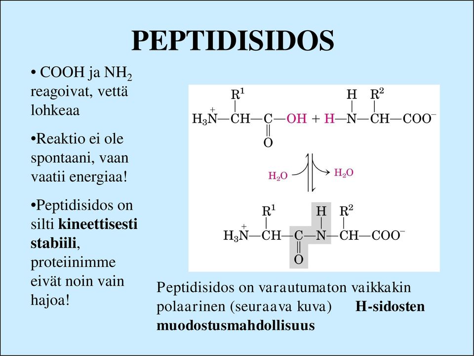 PEPTIDISIDOS Peptidisidos on silti kineettisesti stabiili,