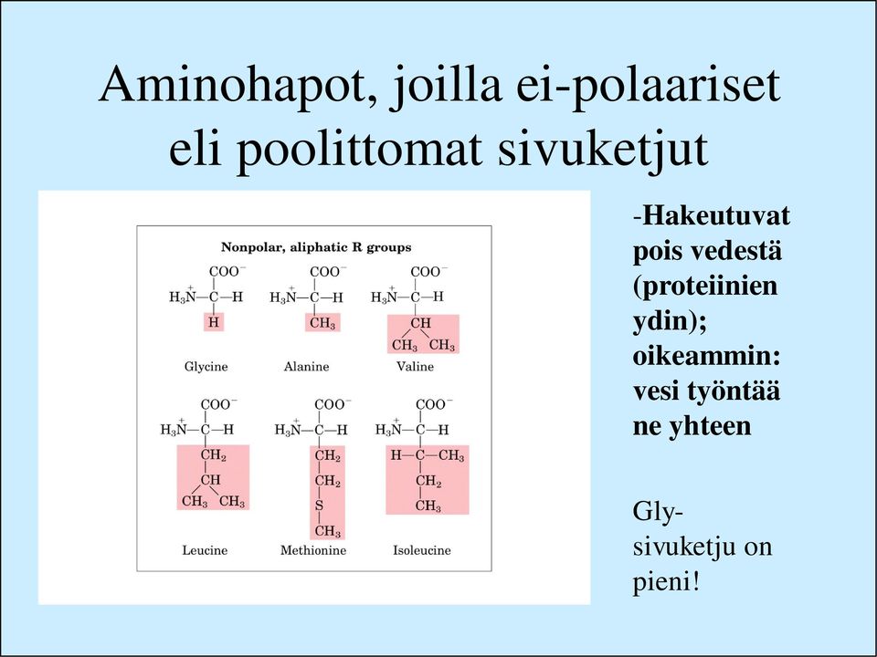 vedestä (proteiinien ydin); oikeammin: