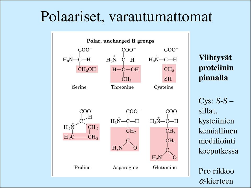 S-S sillat, kysteiinien kemiallinen