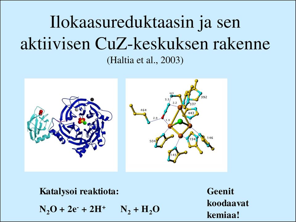 , 2003) Katalysoi reaktiota: N 2 O + 2e