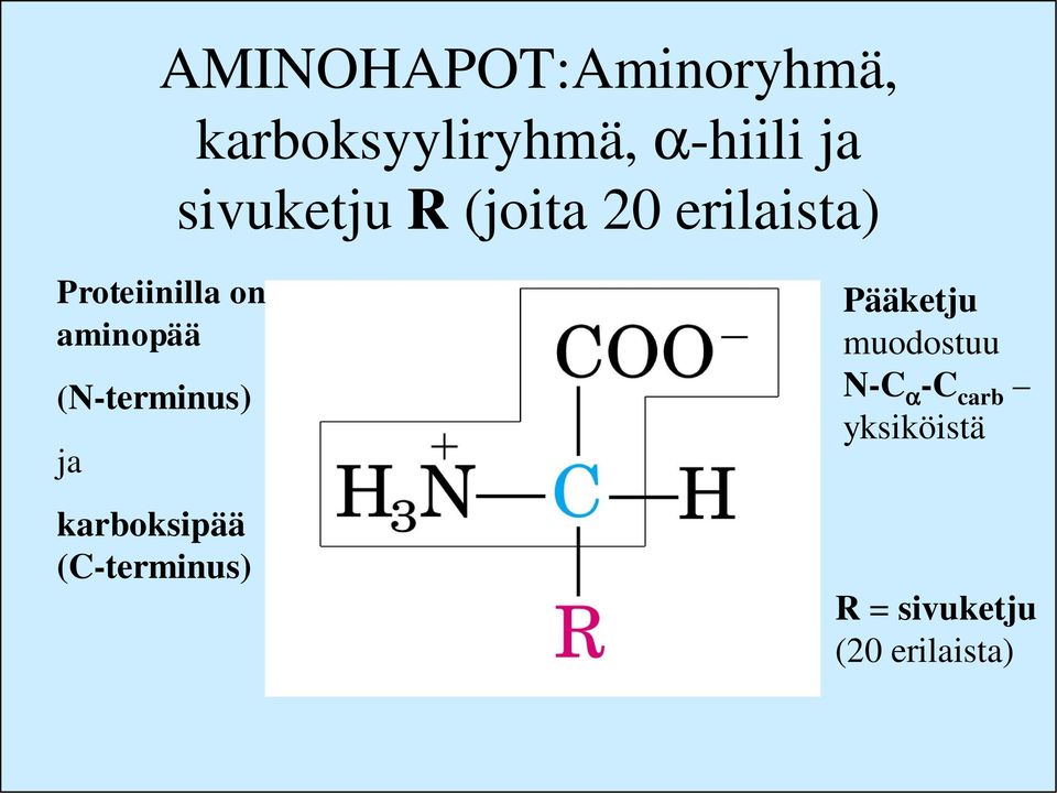 aminopää (N-terminus) ja karboksipää (C-terminus)