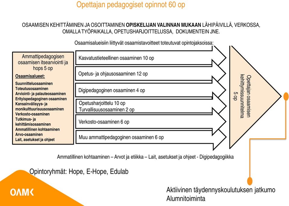 Erityispedagoginen osaaminen Kansainvälisyys- monikulttuurisuusosaaminen Verkosto-osaaminen Tutkimus- kehittämisosaaminen Ammatillinen kohtaaminen Arvo-osaaminen Lait, asetukset ohjeet