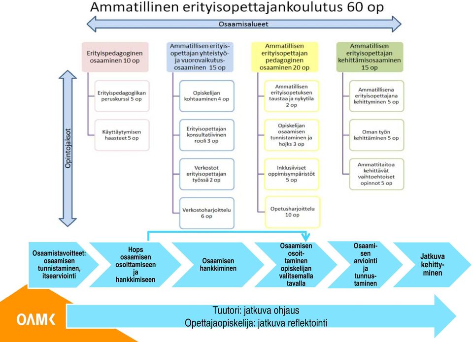 opiskelin valitsemalla tavalla arviointi tunnustaminen