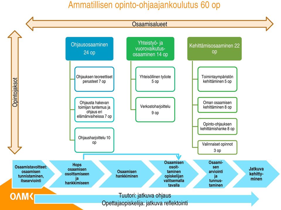 kehittäminen 8 op Opinto-ohuksen kehittämishanke 8 op Ohusharjoittelu 10 op Valinnaiset opinnot 3 op Osaamistavoitteet: tunnistaminen, itsearviointi Hops osoittamiseen