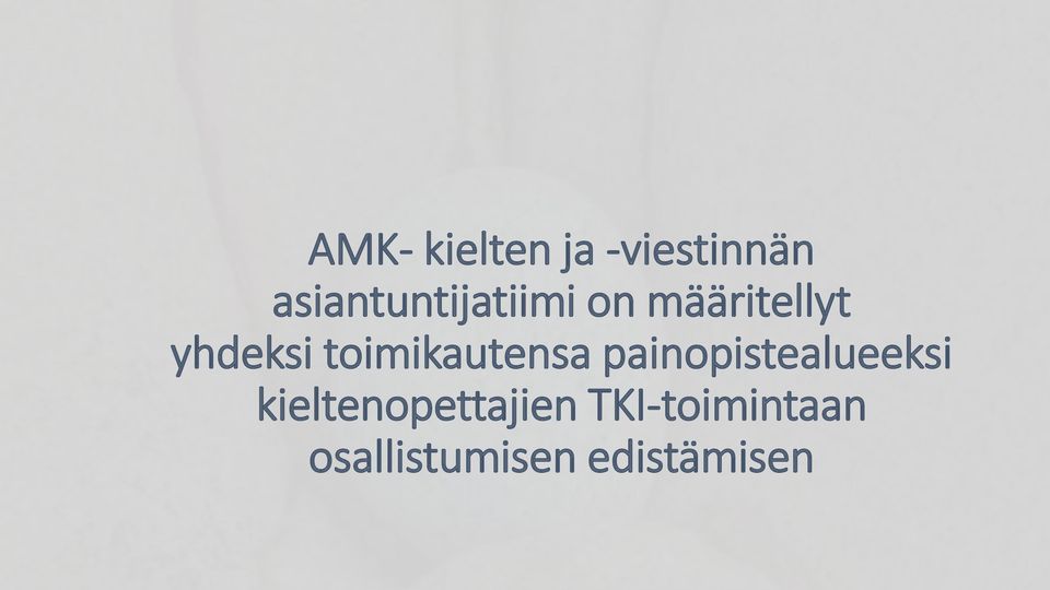 toimikautensa painopistealueeksi