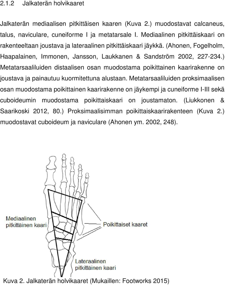 ) Metatarsaaliluiden distaalisen osan muodostama poikittainen kaarirakenne on joustava ja painautuu kuormitettuna alustaan.